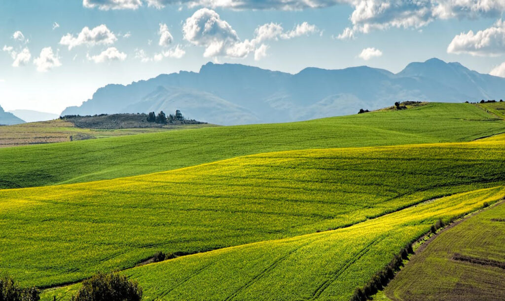 Tutti coloro i quali intendano immettere bestiame di propriet sui pascoli demaniali comunali gravati da uso civico, dovranno far pervenire entro le ore 13:00 del 10/05/2024