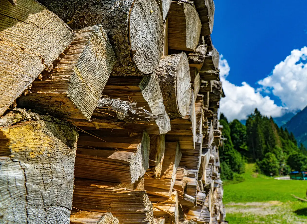 Vendita del materiale legnoso ritraibile dal taglio del bosco di proprietà dell'amministrazione comunale di Civitella Roveto in località ''monte crepacuore-vallone femmina morta'' Vendita del materiale legnoso ritraibile dal taglio del bosco di proprietà dell'amministrazione comunale di Civitella Roveto in località ''monte crepacuore-vallone femmina morta''